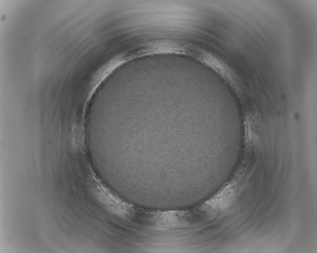 X0000078860828200611271409