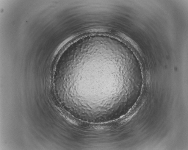 X0000078860829200611271409