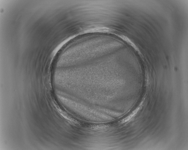 X0000078860830200611271409