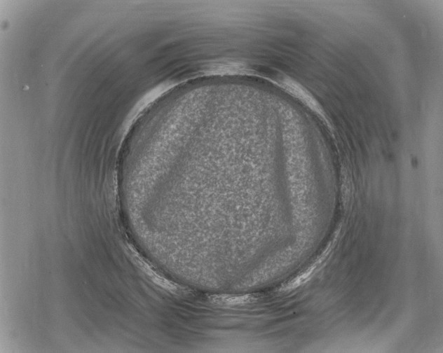 X0000078860831200611271409