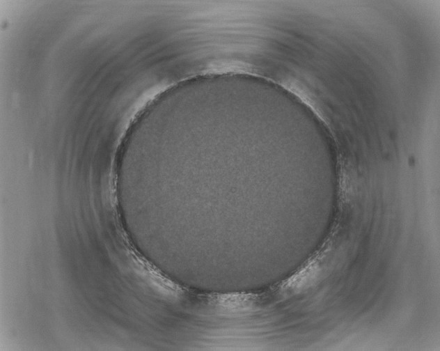 X0000078860832200611271409