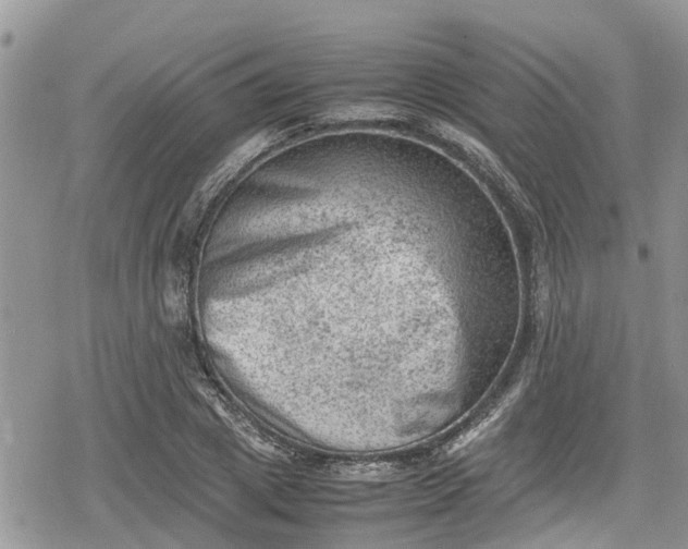 X0000078860833200611271409