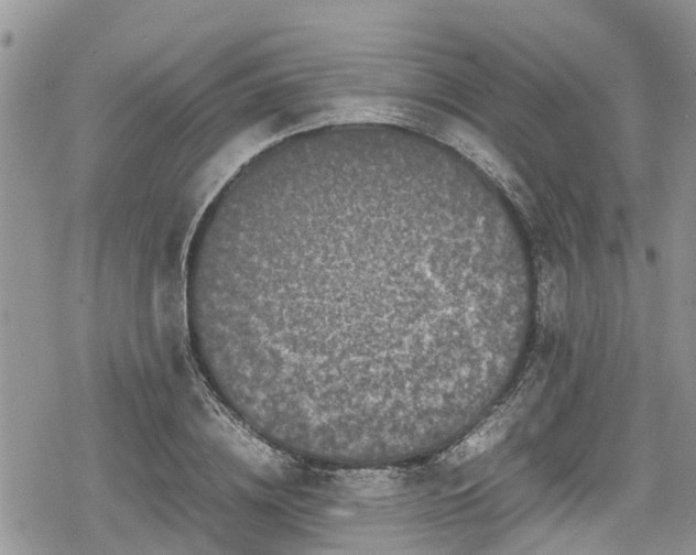 X0000078860836200611271410