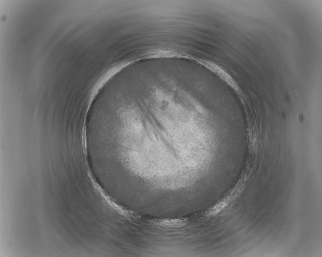 X0000078860839200611271410