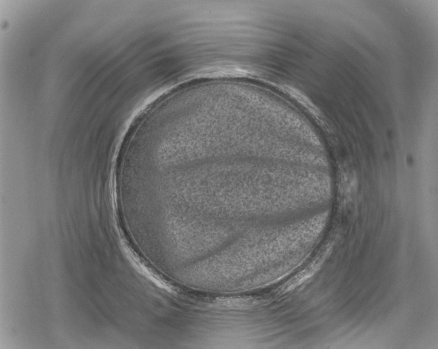 X0000078860840200611271410