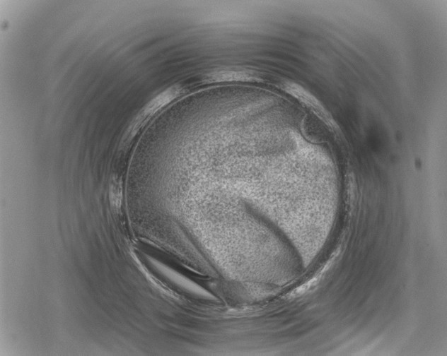 X0000078860841200611271410