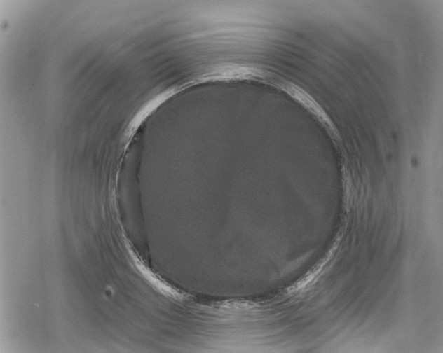 X0000078860842200611271410