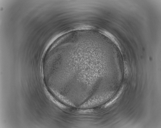 X0000078860843200611271410