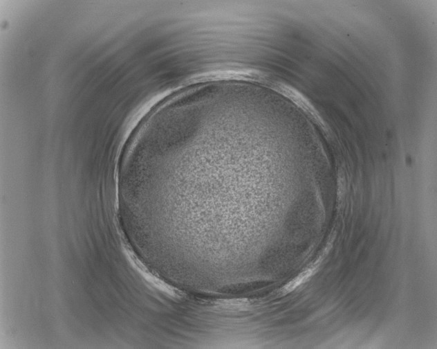 X0000078860844200611271410