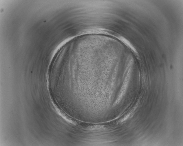 X0000078860846200611271410