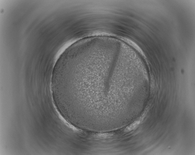 X0000078860847200611271410