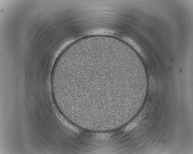 X0000078860848200611271410