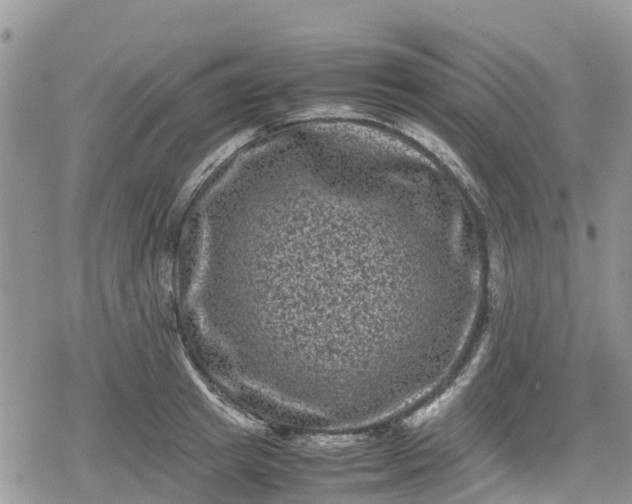 X0000078860849200611271410