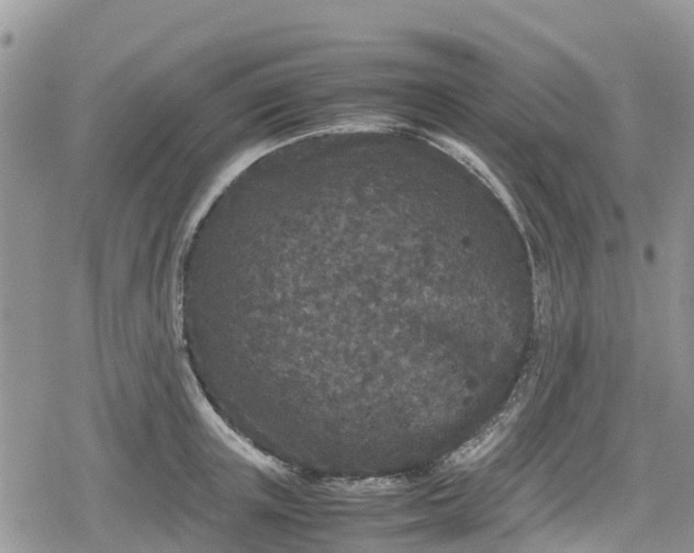 X0000078860851200611271410