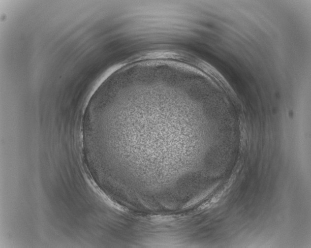 X0000078860852200611271410