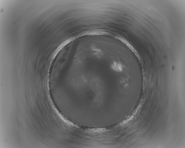 X0000078860853200611271410