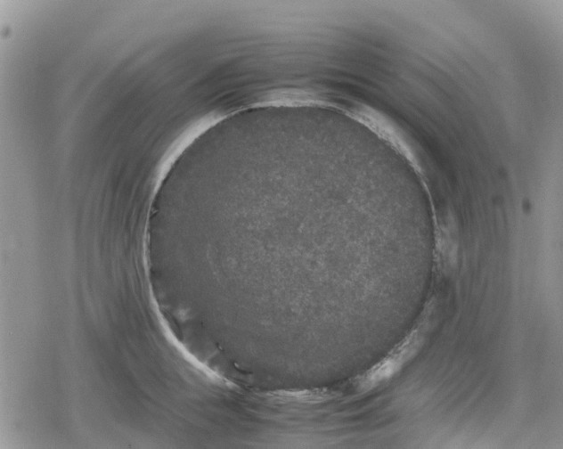 X0000078860855200611271410