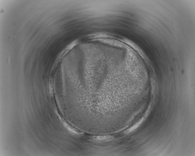 X0000078860857200611271410