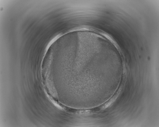 X0000078860858200611271410