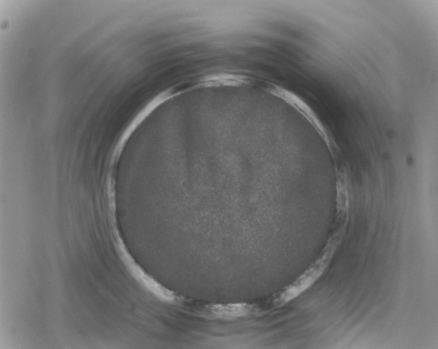 X0000078860859200611271410