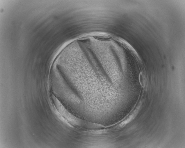 X0000078860860200611271410