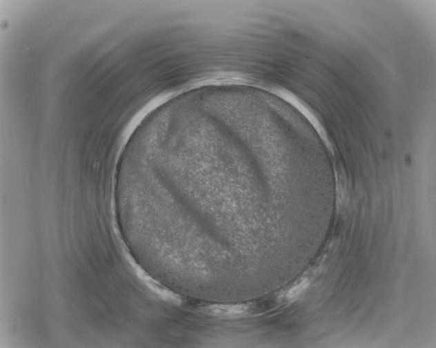 X0000078860861200611271410