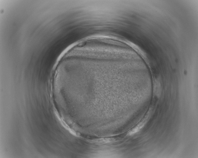 X0000078860862200611271410