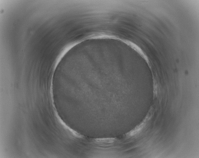 X0000078860863200611271410