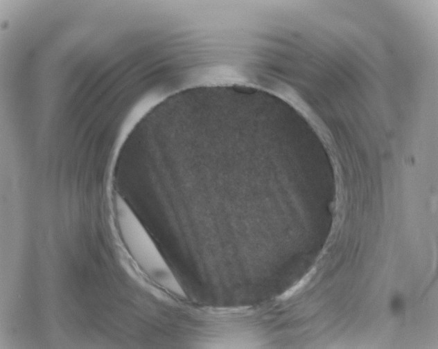 X0000078860864200611271410