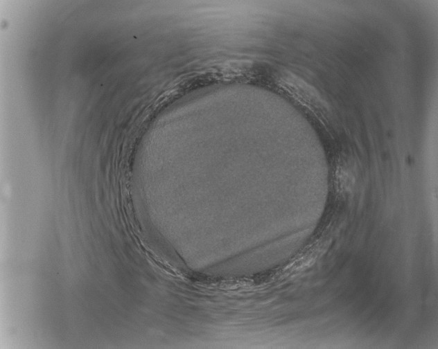 X0000078860865200611271409