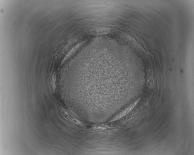 X0000078860866200611271409