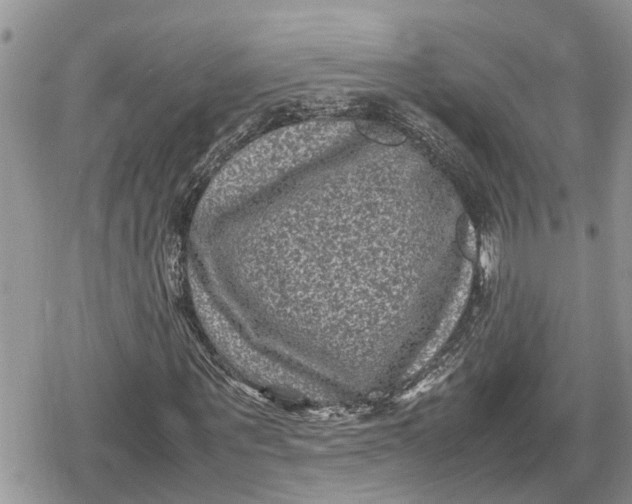 X0000078860867200611271409