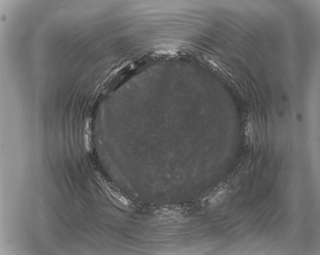 X0000078860868200611271409