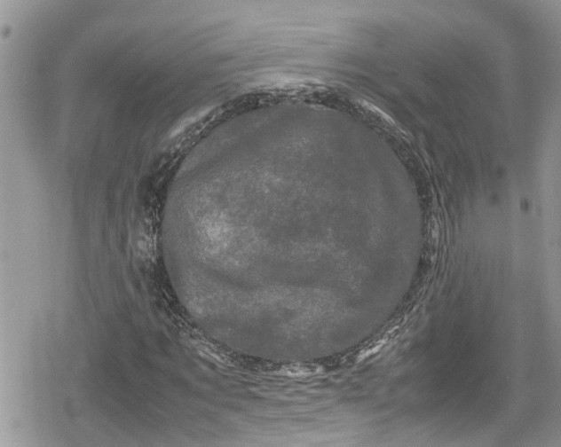 X0000078860869200611271409