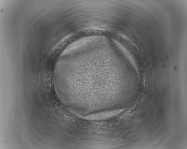 X0000078860870200611271409