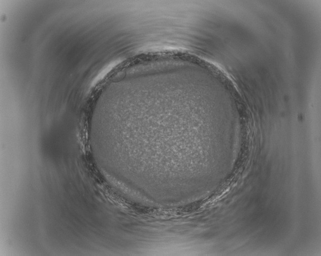 X0000078860871200611271409