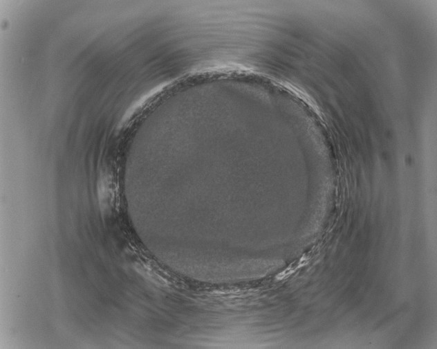 X0000078860872200611271409