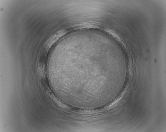 X0000078860873200611271409