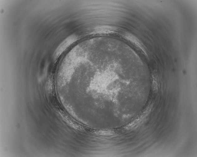 X0000078860874200611271409