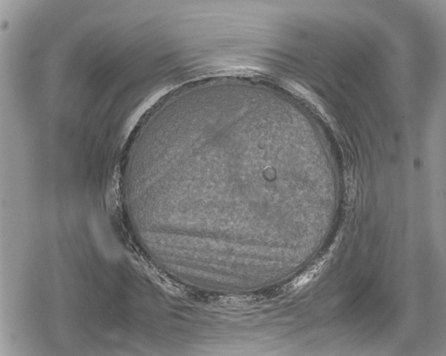 X0000078860875200611271409