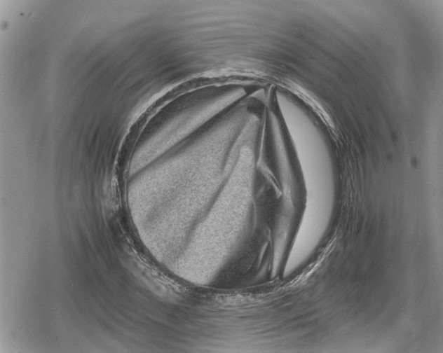 X0000078860876200611271409