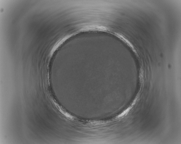 X0000078860877200611271409