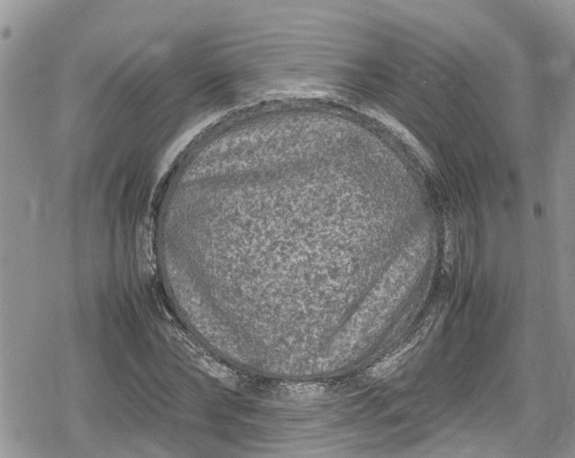 X0000078860878200611271409