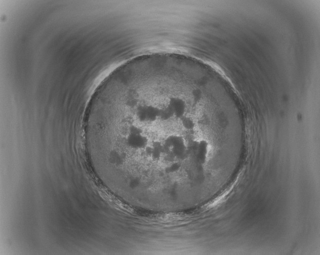 X0000078860879200611271409