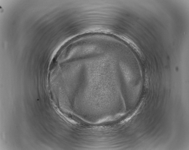 X0000078860880200611271409