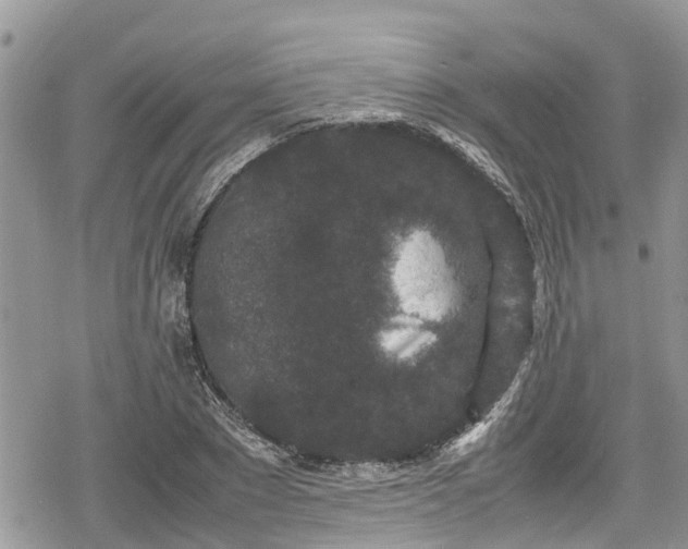 X0000078860881200611271409