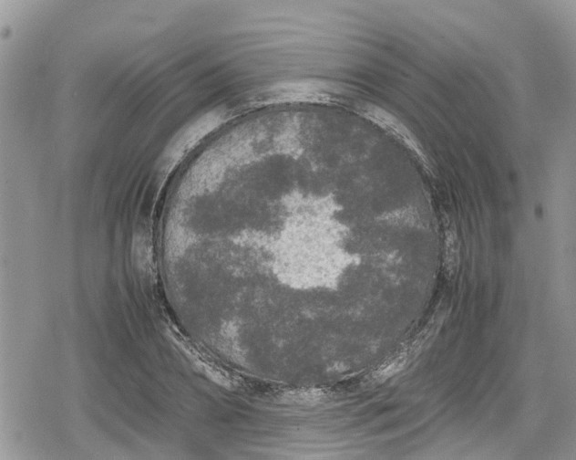 X0000078860882200611271409