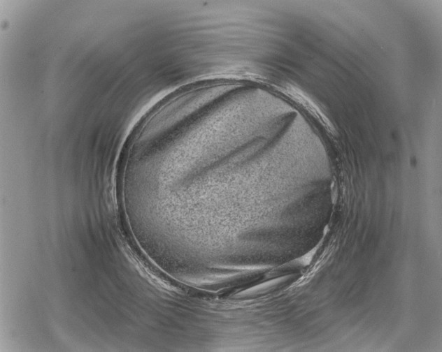 X0000078860884200611271409