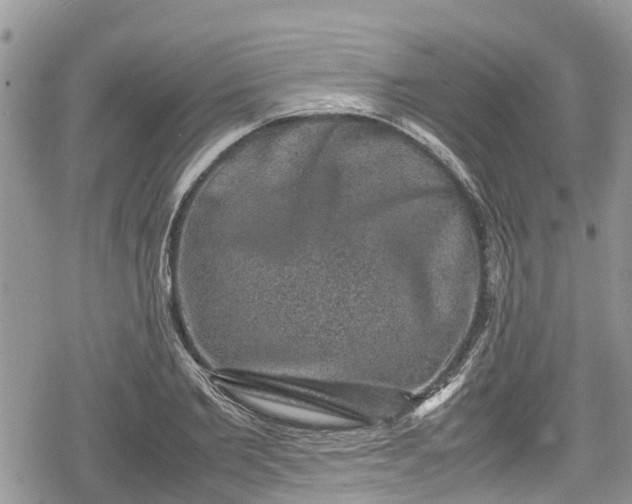 X0000078860885200611271409