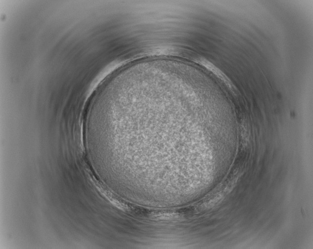 X0000078860886200611271409